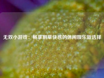 无双小游戏：畅享割草快感的休闲娱乐新选择