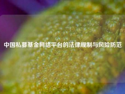中国私募基金网络平台的法律规制与风险防范
