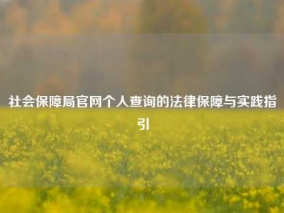 社会保障局官网个人查询的法律保障与实践指引