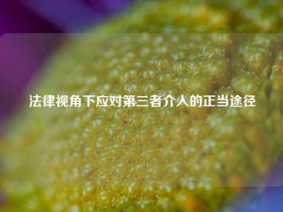 法律视角下应对第三者介入的正当途径