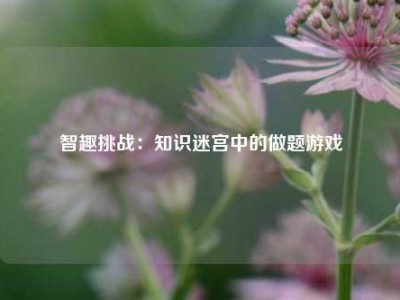 智趣挑战：知识迷宫中的做题游戏
