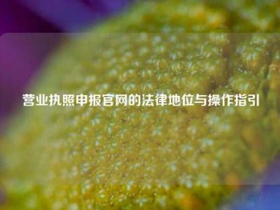 营业执照申报官网的法律地位与操作指引