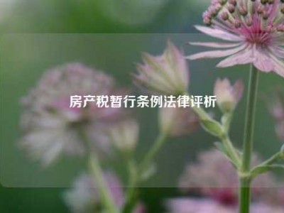 房产税暂行条例法律评析
