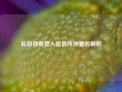私自调查他人信息所涉罪名解析