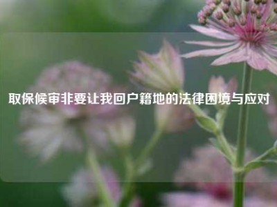 取保候审非要让我回户籍地的法律困境与应对