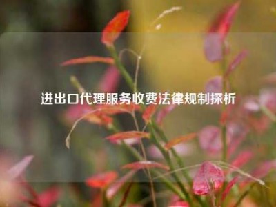 进出口代理服务收费法律规制探析