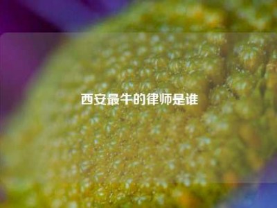 西安最牛的律师是谁