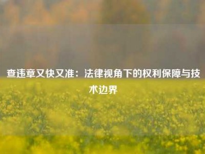 查违章又快又准：法律视角下的权利保障与技术边界