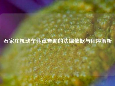 石家庄机动车违章查询的法律依据与程序解析