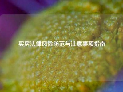 买房法律风险防范与注意事项指南