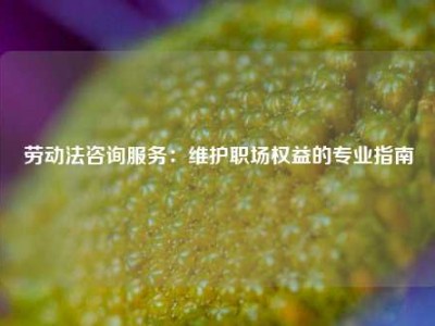 劳动法咨询服务：维护职场权益的专业指南