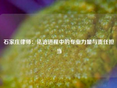 石家庄律师：法治进程中的专业力量与责任担当