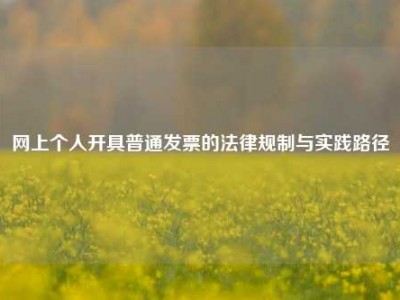 网上个人开具普通发票的法律规制与实践路径