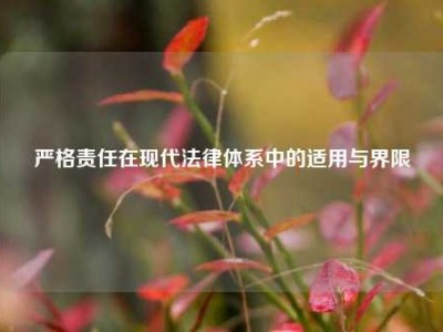 严格责任在现代法律体系中的适用与界限