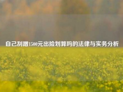 自己刮蹭1500元出险划算吗的法律与实务分析