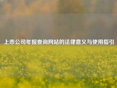 上市公司年报查询网站的法律意义与使用指引