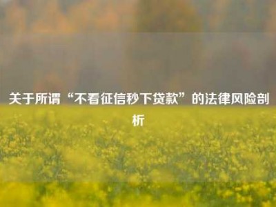 关于所谓“不看征信秒下贷款”的法律风险剖析