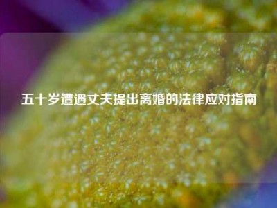五十岁遭遇丈夫提出离婚的法律应对指南