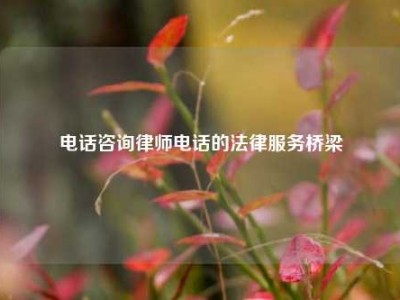 电话咨询律师电话的法律服务桥梁