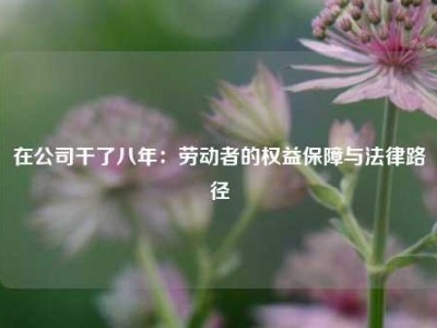 在公司干了八年：劳动者的权益保障与法律路径
