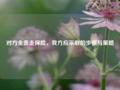 对方全责走保险，我方应采取的步骤与策略