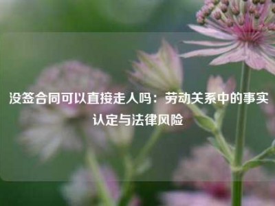 没签合同可以直接走人吗：劳动关系中的事实认定与法律风险