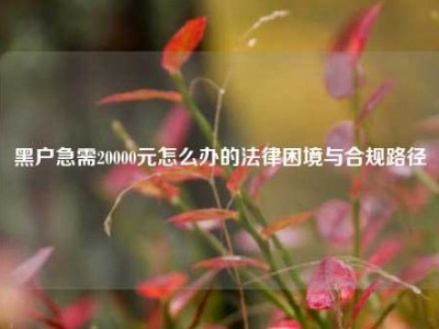黑户急需20000元怎么办的法律困境与合规路径