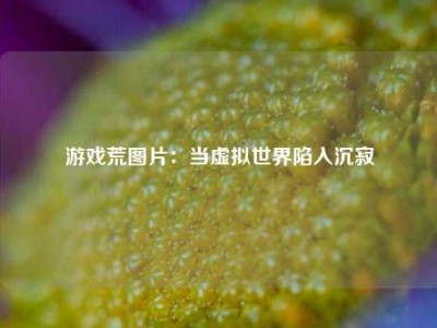 游戏荒图片：当虚拟世界陷入沉寂