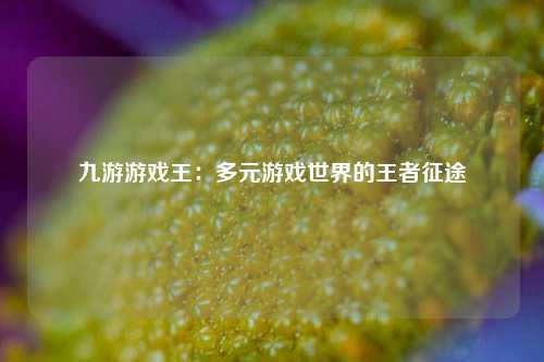 九游游戏王：多元游戏世界的王者征途