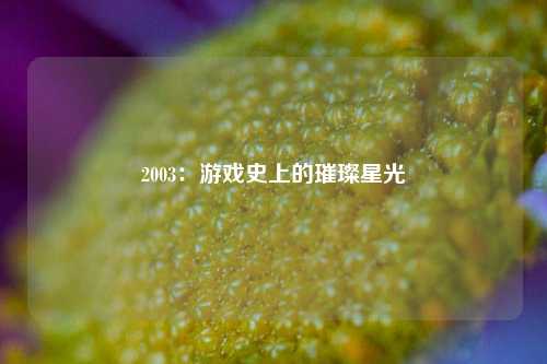 2003:游戏史上的璀璨星光
