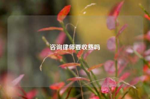 咨询律师要收费吗