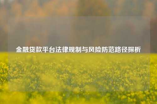 金融贷款平台法律规制与风险防范路径探析