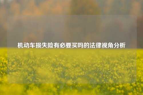 机动车损失险有必要买吗的法律视角分析