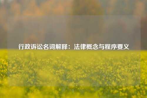 行政诉讼名词解释:法律概念与程序要义