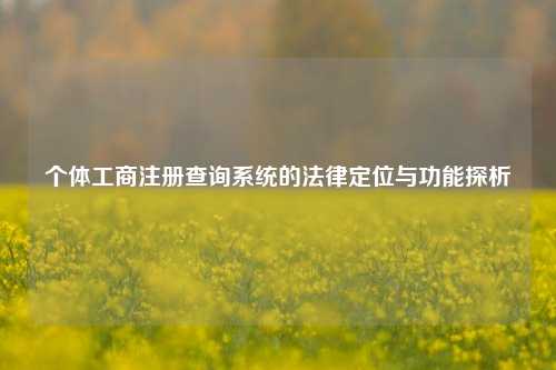 个体工商注册查询系统的法律定位与功能探析
