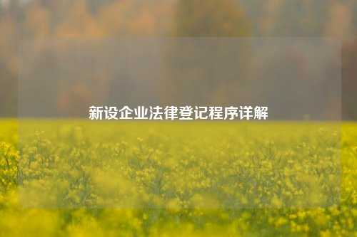 新设企业法律登记程序详解