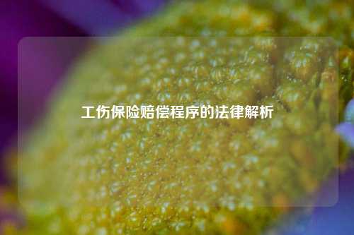 工伤保险赔偿程序的法律解析