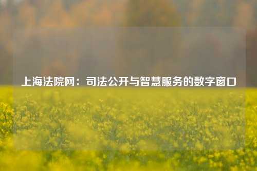 上海法院网：司法公开与智慧服务的数字窗口