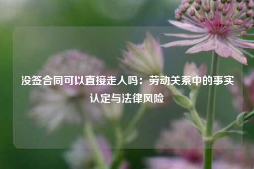 没签合同可以直接走人吗：劳动关系中的事实认定与法律风险
