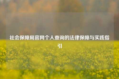 社会保障局官网个人查询的法律保障与实践指引