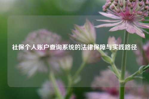 社保个人账户查询系统的法律保障与实践路径